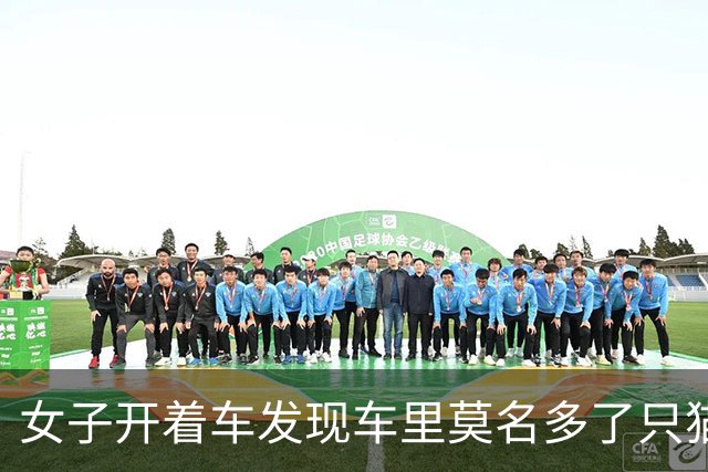 女子开着车发现车里莫名多了只猫，最后找到一家四口，人都懵了：你们一家什么时候搬进来的？