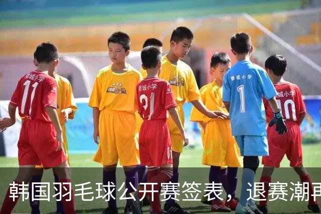 韩国羽毛球公开赛签表，退赛潮再起，国羽多主力轮休20组球员出战